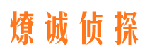 隆子侦探公司